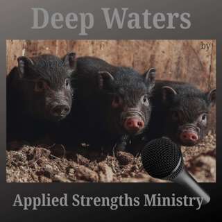 The Three Little Pigs Allegory