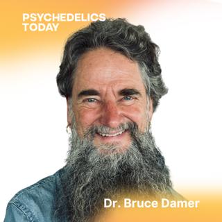 PT536 – Psychedelics and Creativity, Endo-Tripping, and the Origins of Life on Earth, with Dr. Bruce Damer