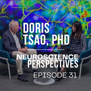 RE-RELEASE: Why the Brain is Smarter than AI