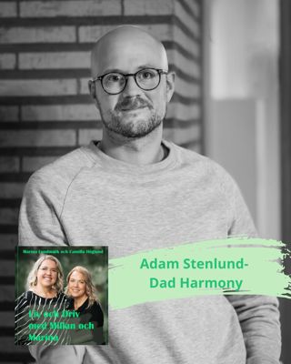 Adam Stenlund- Dad Harmony