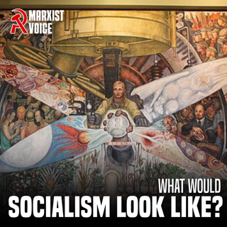 What would socialism look like?