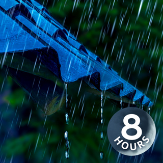 Fall Asleep with the Sounds of Rain on a Tin Roof | 8 Hours