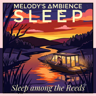 Insomnia Relief: Guided Sleep Meditation and Deep Sleep Sounds