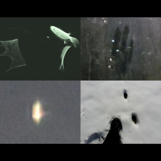 Diary of PA Man Who Filmed Backyard ETs Reveals Lifetime of High Strangeness Events