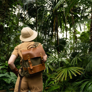 Can field botany be effectively taught as a distance course?