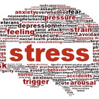 296 Stress och projektplanering