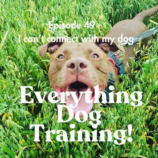 Episode 49 - I can't connect with my dog