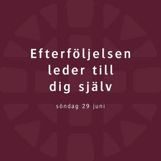 Efterföljelsen leder till dig själv – Henrik Wernvik
