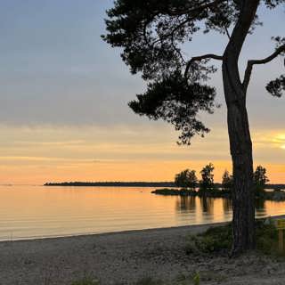 Vänerns fågelskär och sandstränder