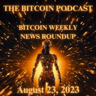 Bitcoin Weekly News Roundup: Binance, Bitcoin Crash, Fiat Logic, BTC Exchange Balance, Microstrategy & More(August 23, 2023)