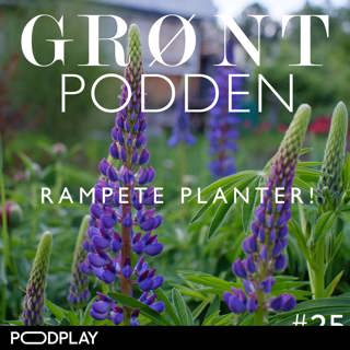 #25 Rampete planter!