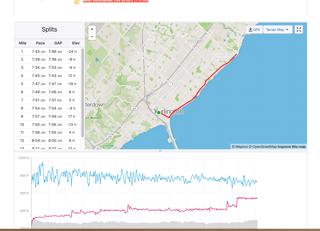Running Across the USA - 7 Times with Bjorn Suneson