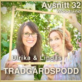 Avsnitt 32 - Woodland
