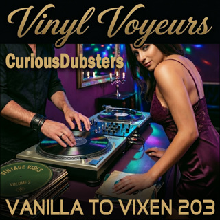 Vanilla To Vixen Episode 203 - Vinyl Voyeurs The Curious Dubsters