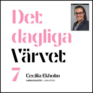 DET DAGLIGA VÄRVET #7 Cecilia Ekholm
