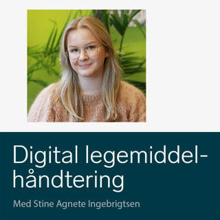 Kliniske farmasøyter som brobyggere i tverrprofesjonelle legemiddelgjennomganger