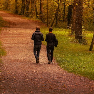 262 - The Value, Care, and Feeding of Dharma Friendships (2 of 2)