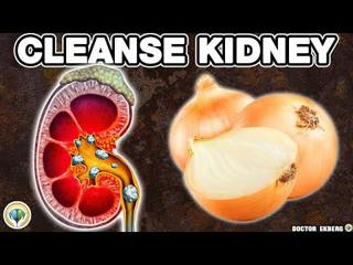 Top 10 SUPER FOODS That Can Heal Your KIDNEYS