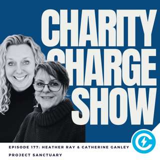 Project Sanctuary, Why Collaboration Beats Competition in the Nonprofit World