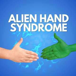 Alien Hand Syndrome: Battle of the Brains