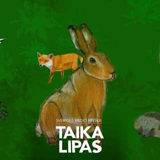 Jänis, joka halusi olla rohkea, osa 1/5: Pelokas metsäjänis