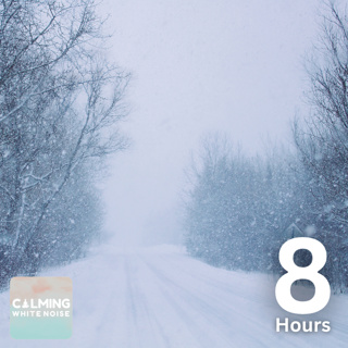 Blizzard Sounds for Sleeping (8 Hours) | Snow Storm Sound Effect