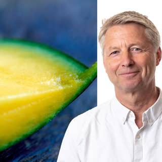 Ett gyllene tryne och guldgula mangos: Anders Wennersten, Stockholm