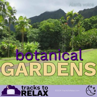 Botanical Garden Bedtime Meditation