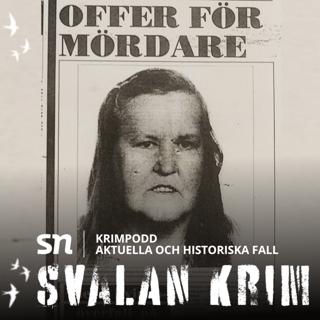Karinmordet och jakten på cykelmannen