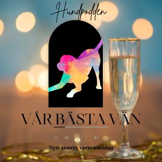 Nyårskarameller - En återblick på relationsåret 2022