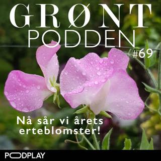 #69 Nå sår vi årets erteblomster