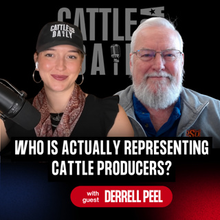 420: What Happens Next for the Cattle Market? Q4 & 2027 Outlook with Derrell Peel