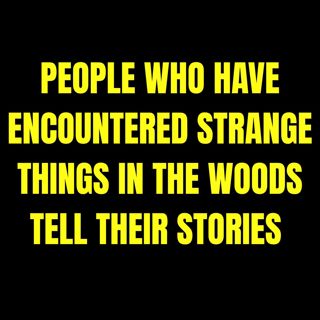 People who have encountered strange things in the woods tell their stories | Askreddit Scary