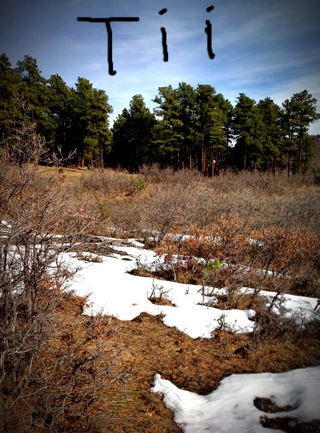 Tii - iTem 0217 - I have never seen anything like it in my life