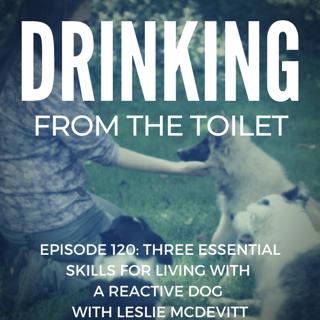 #120: Three Essential Skills for Living with a Reactive Dog with Leslie McDevitt