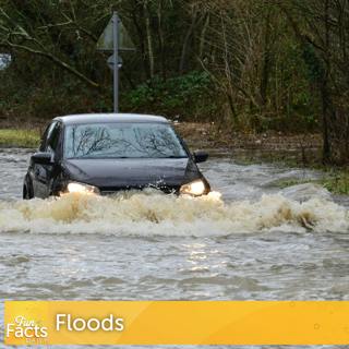 Fun Facts About Floods
