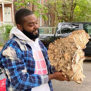 Growing Mushrooms w/ Hood Farmer Rob