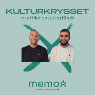 Fra innsiden av Memox - Ungdomskriminalitet