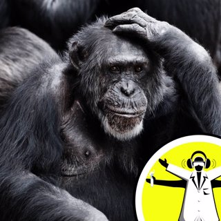 Do you burn more calories when thinking?