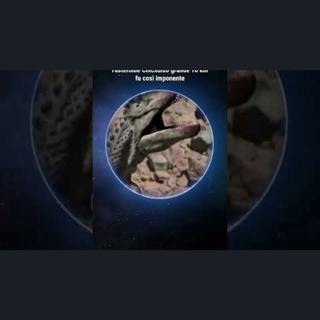 E se il più grande asteroide colpisse la Terra? #Shorts