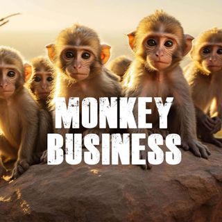 Monkey Business