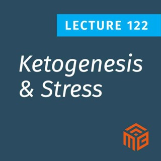 Ketogenesis & Stress: Can Stress Hormones Actually Be Good For You?