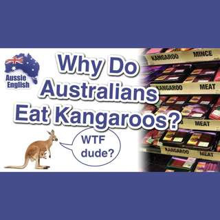 AE 304 - Aussie Culture: Why do Australians eat kangaroos?