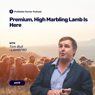 # 177 - Premium, High Marbling Lamb Is Here. With Tom Bull from LAMBPRO