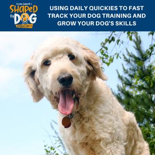 Using Daily Quickies To Fast Track Your Dog Training And Grow Your Dog's Skills #190