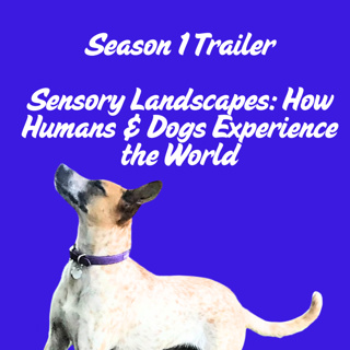 Season 1 Trailer: Sensory Landscapes: How Humans and Dogs Experience the World