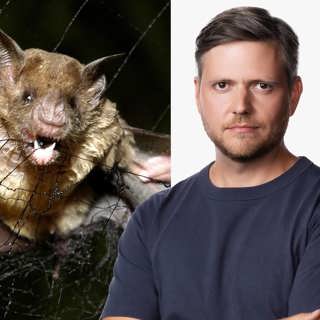 Allt jag skäms över att jag inte vågat äta: Axel Kronholm, Palawan