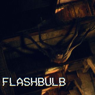 Flash Bulb