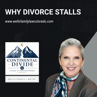 Why Smart People Can’t Settle: The Most Difficult Issues to Resolve in Divorce