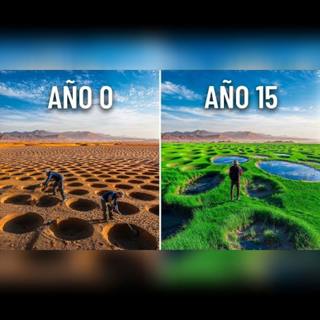 Transformar el Sahara en un bosque: ¿la cura del cambio climático?
